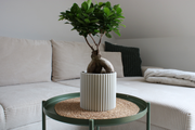Blumentopf